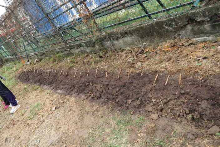 502105848_18507272137044164_4648796627510945518_n