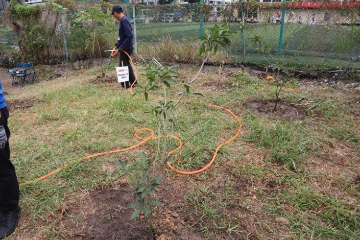 502248802_18507272128044164_7111582455148970348_n