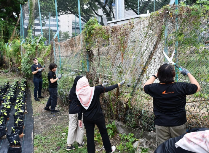 498583507_18511688461044164_7861541046249460122_n